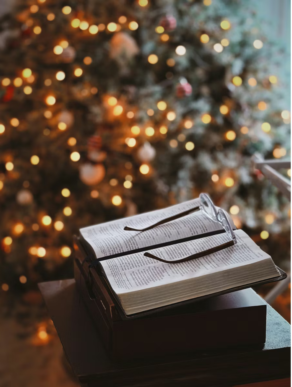 Christmas Book Reviews